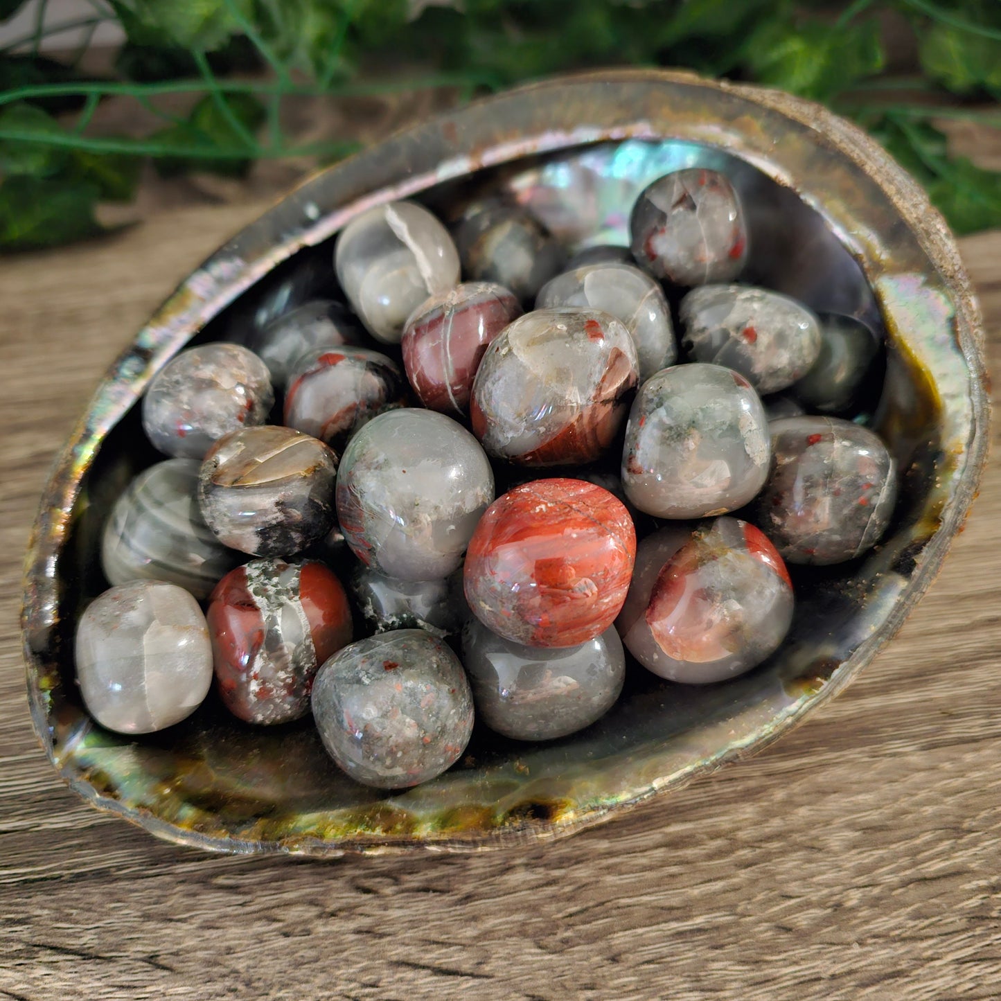 BLOODSTONE Tumbled Stone - Life, Birth, Vitality, Strength, Passion, Courage, Protection, Grounding, Clearing - Crystals & Gemstones