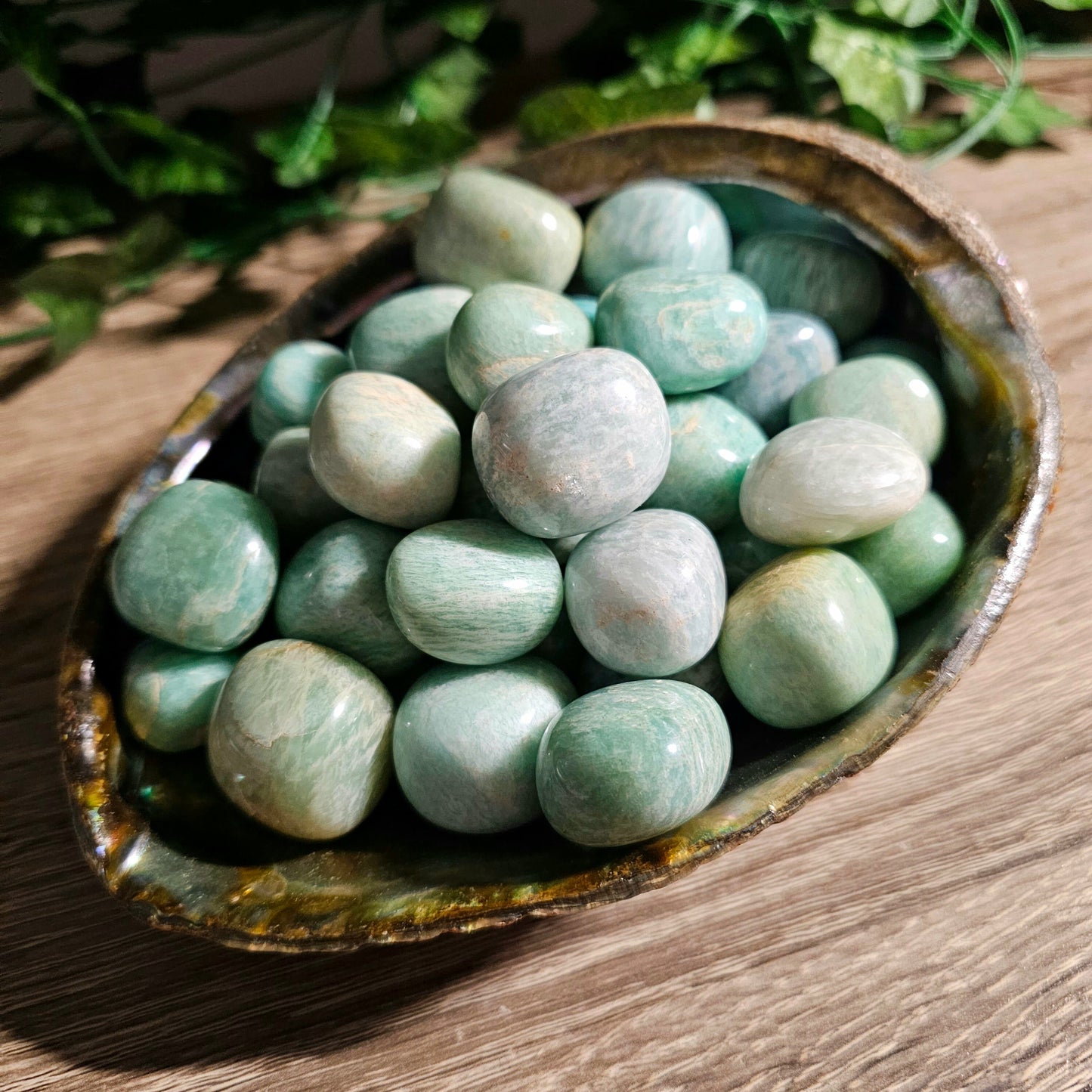 AMAZONITE Tumbled Stone - Gambler's Stone, Good Luck, Good Fortune, Calming, Courage, Truth, Balance - Crystals & Gemstones