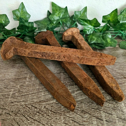 Rusted Railroad Spikes Set | Powerful Home and Property Protection, Shielding, Warding, Hoodoo, Altar Tools